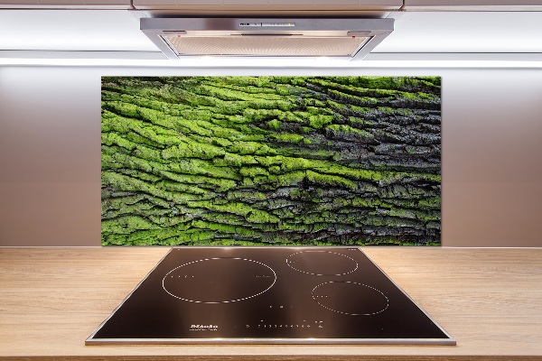 Cooker splashback Tree bark