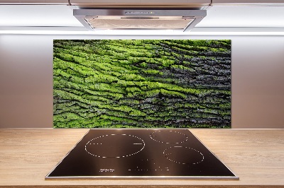 Cooker splashback Tree bark