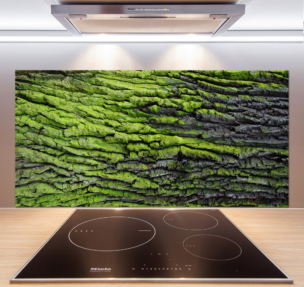 Cooker splashback Tree bark