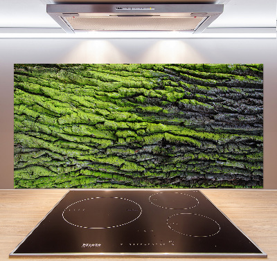 Cooker splashback Tree bark