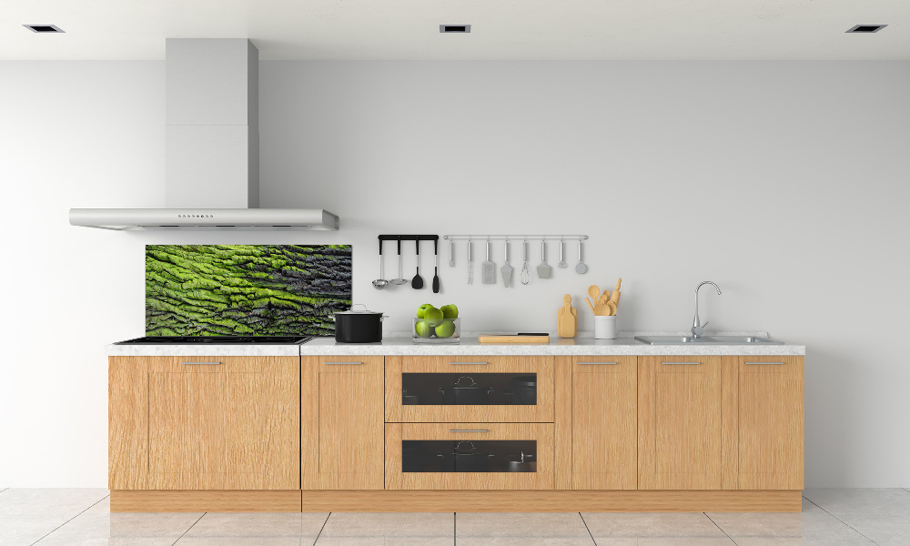 Cooker splashback Tree bark