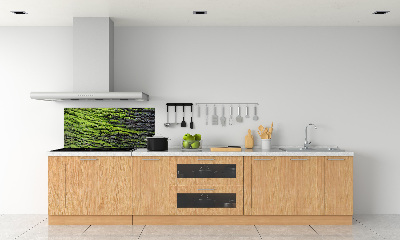 Cooker splashback Tree bark