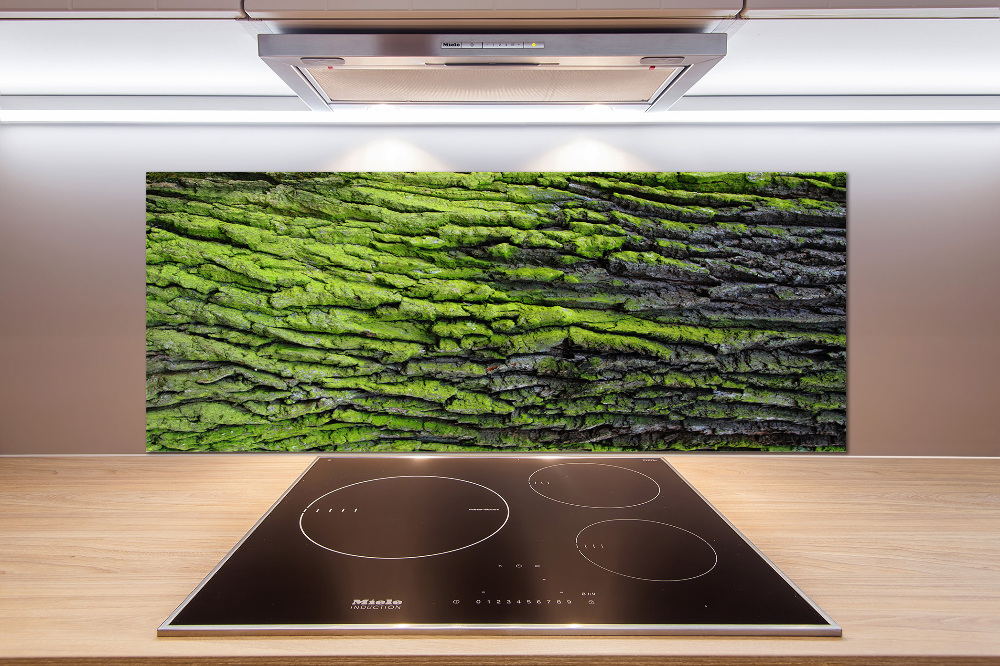 Cooker splashback Tree bark