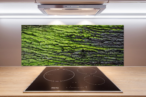 Cooker splashback Tree bark