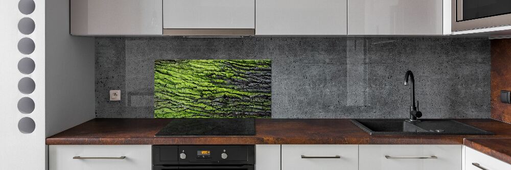 Cooker splashback Tree bark