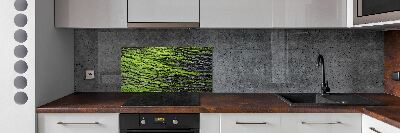 Cooker splashback Tree bark