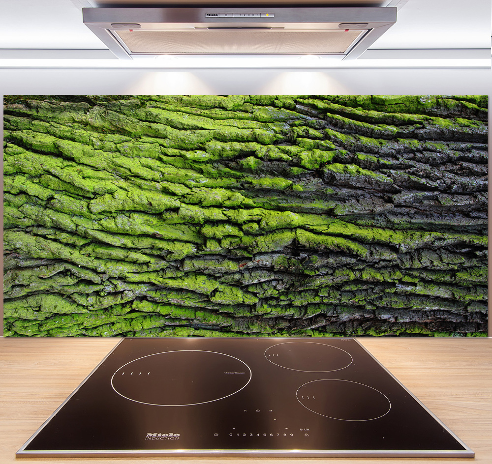 Cooker splashback Tree bark