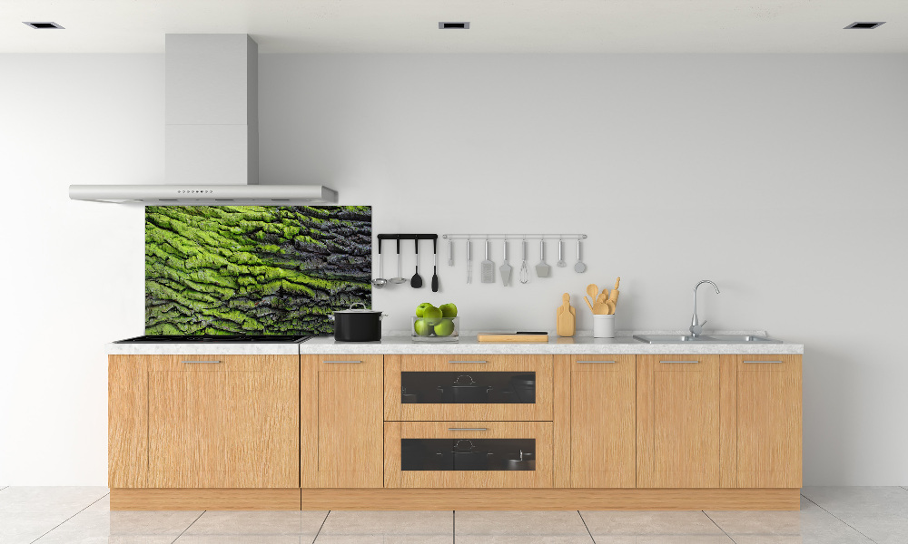 Cooker splashback Tree bark