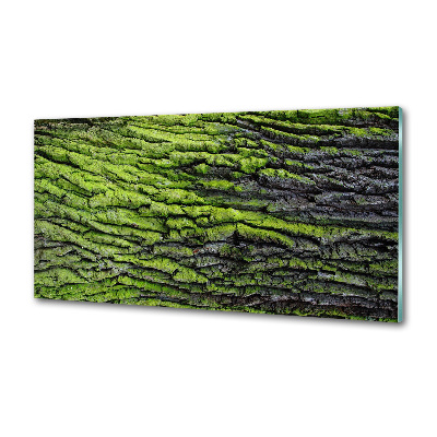 Cooker splashback Tree bark