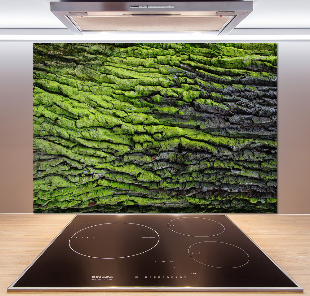 Cooker splashback Tree bark