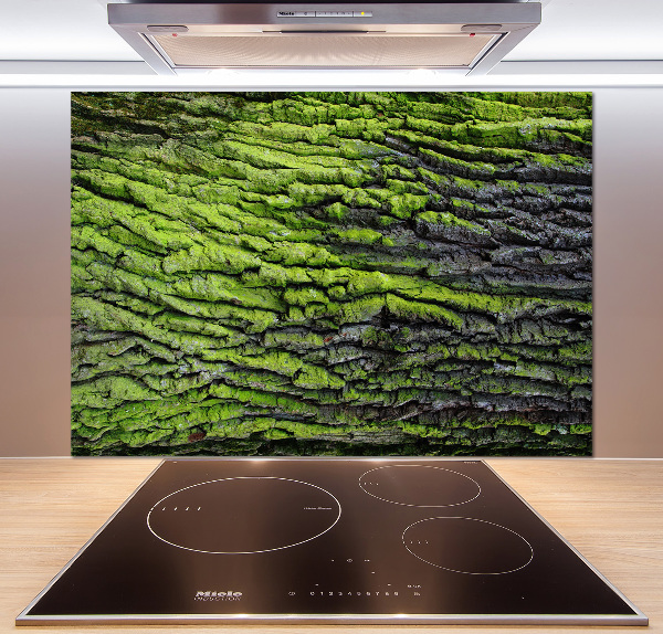 Cooker splashback Tree bark