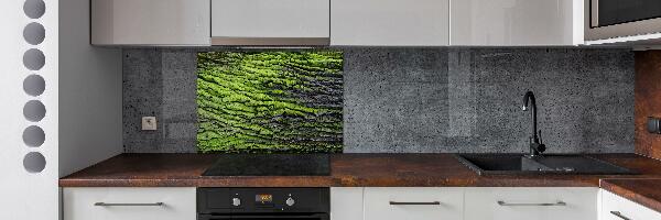 Cooker splashback Tree bark