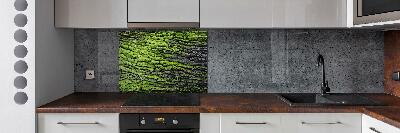 Cooker splashback Tree bark