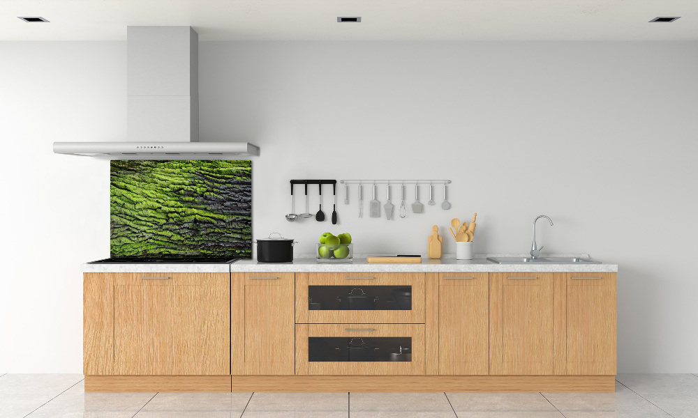 Cooker splashback Tree bark