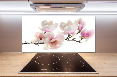 Cooker splashback Magnolia