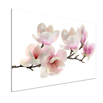 Cooker splashback Magnolia