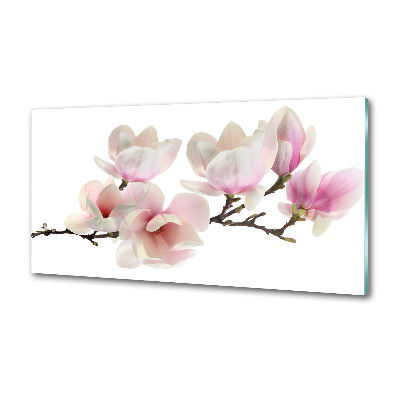 Cooker splashback Magnolia