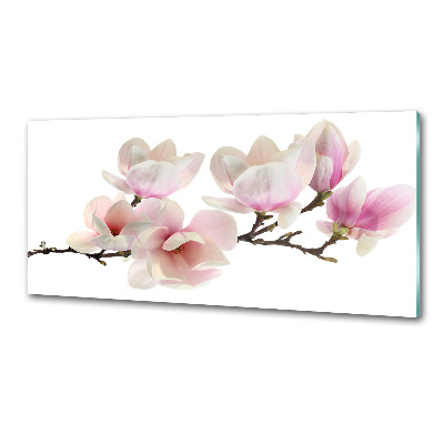 Cooker splashback Magnolia