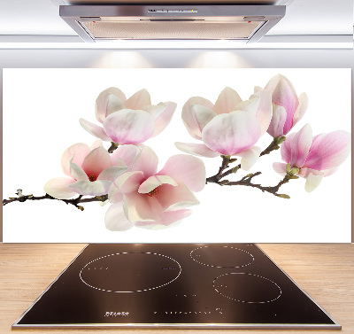 Cooker splashback Magnolia