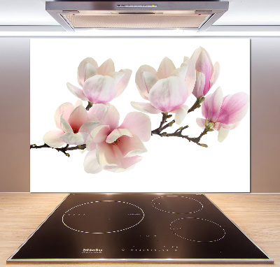 Cooker splashback Magnolia