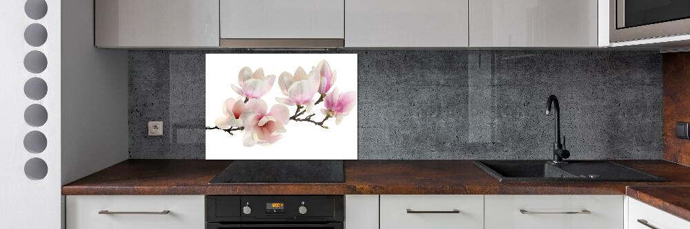 Cooker splashback Magnolia