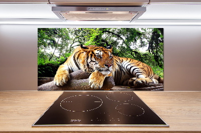 Kitchen splashback Tiger on the rock