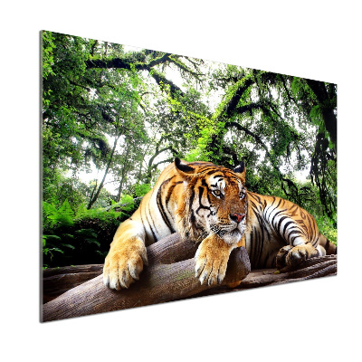 Kitchen splashback Tiger on the rock