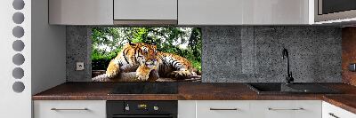 Kitchen splashback Tiger on the rock