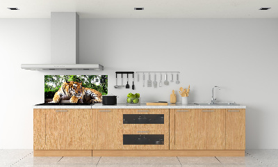 Kitchen splashback Tiger on the rock