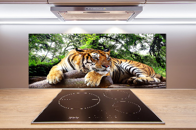 Kitchen splashback Tiger on the rock