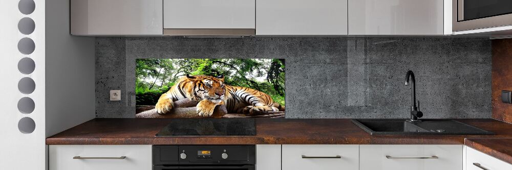 Kitchen splashback Tiger on the rock