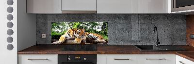 Kitchen splashback Tiger on the rock