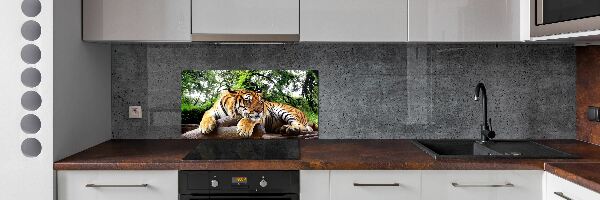 Kitchen splashback Tiger on the rock