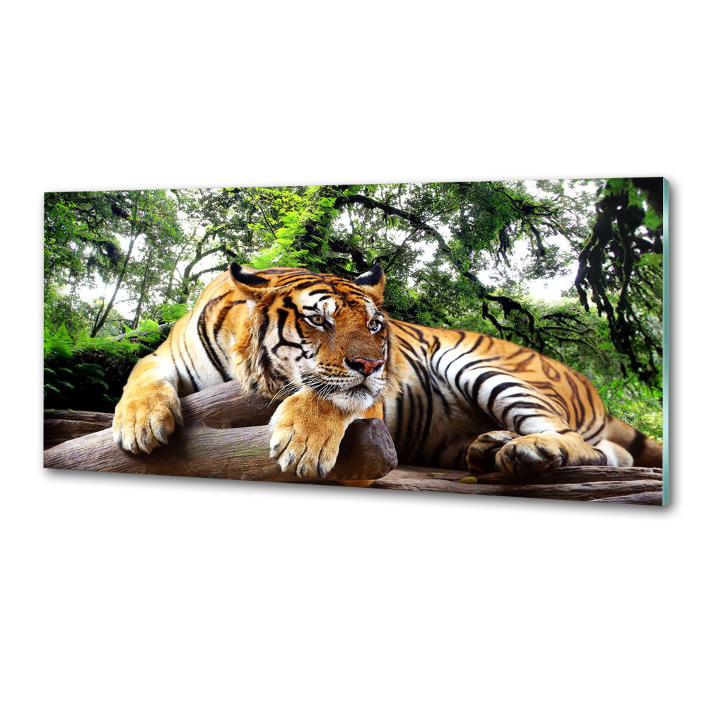 Kitchen splashback Tiger on the rock