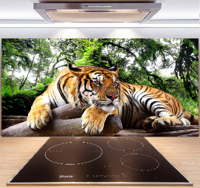 Kitchen splashback Tiger on the rock