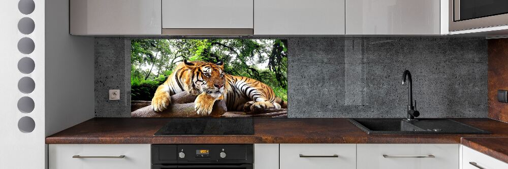 Kitchen splashback Tiger on the rock