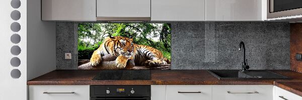 Kitchen splashback Tiger on the rock