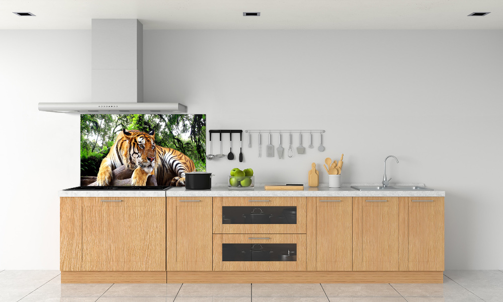 Kitchen splashback Tiger on the rock