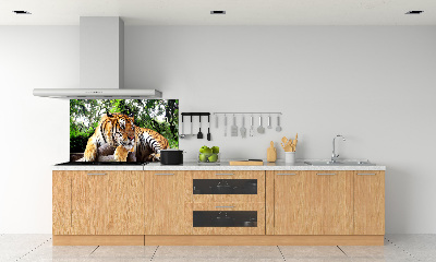 Kitchen splashback Tiger on the rock