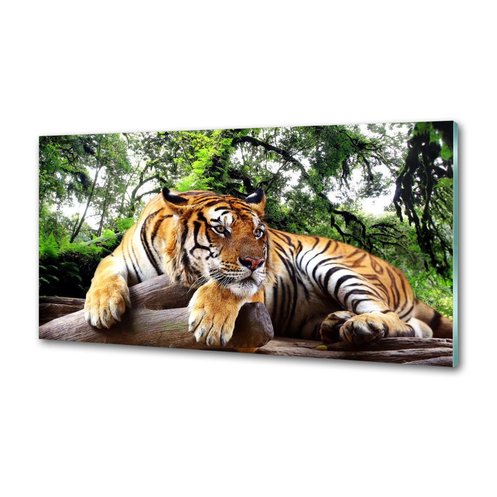 Kitchen splashback Tiger on the rock