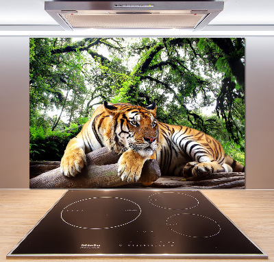 Kitchen splashback Tiger on the rock