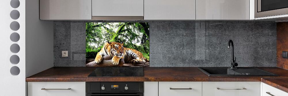 Kitchen splashback Tiger on the rock