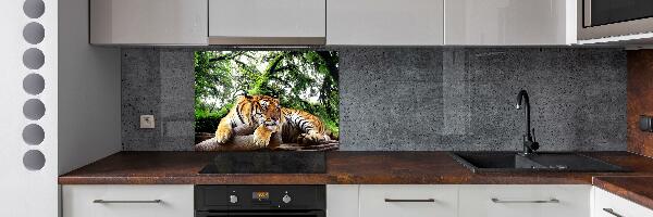 Kitchen splashback Tiger on the rock