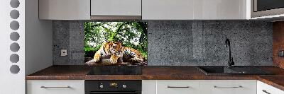 Kitchen splashback Tiger on the rock