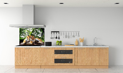 Kitchen splashback Tiger on the rock