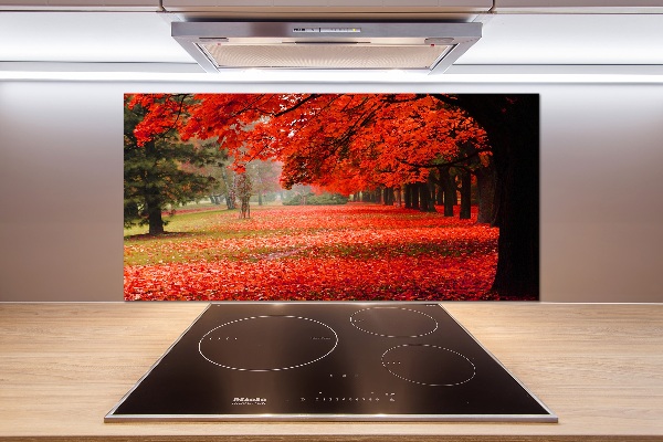 Cooker splashback Trees in autumn