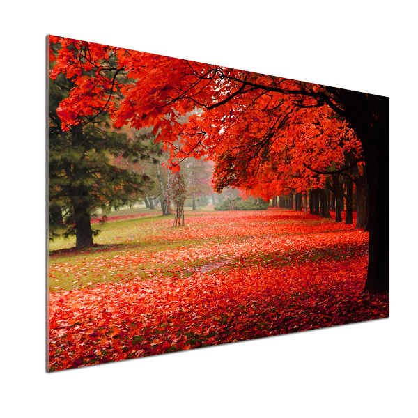 Cooker splashback Trees in autumn