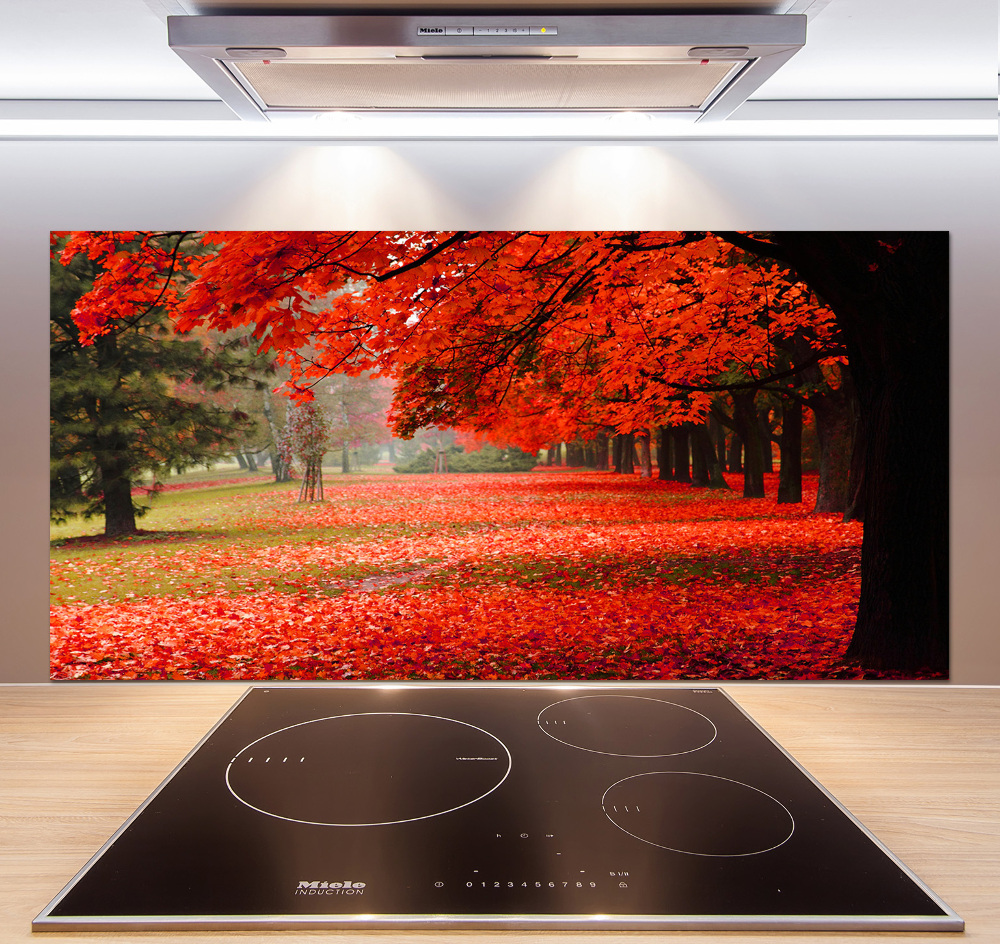 Cooker splashback Trees in autumn