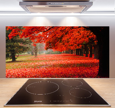 Cooker splashback Trees in autumn