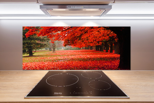 Cooker splashback Trees in autumn